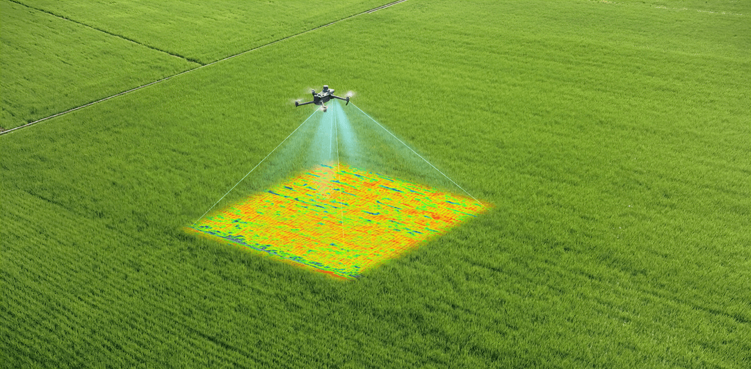 Drone spraying NDVI