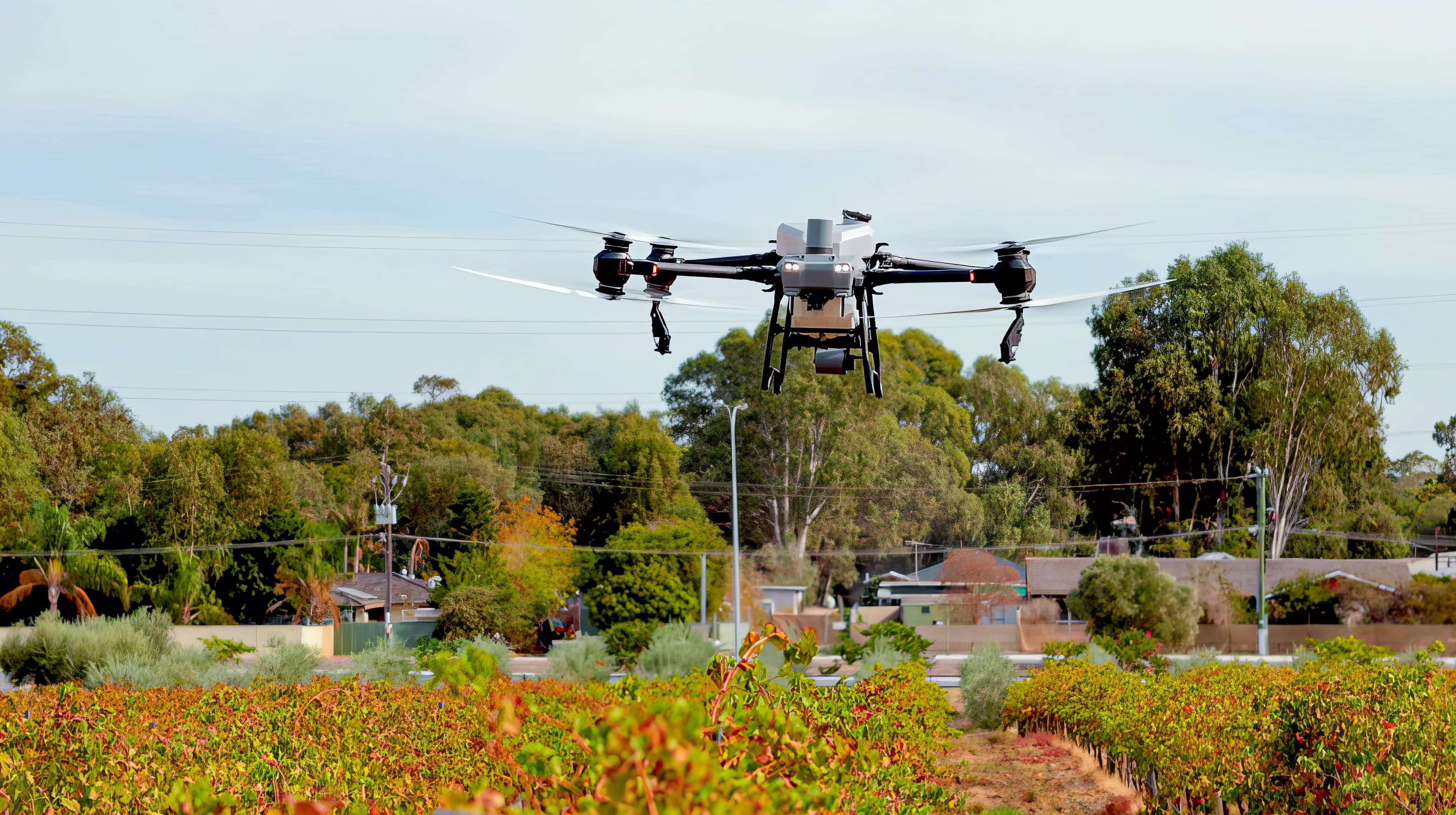 Drone spraying field